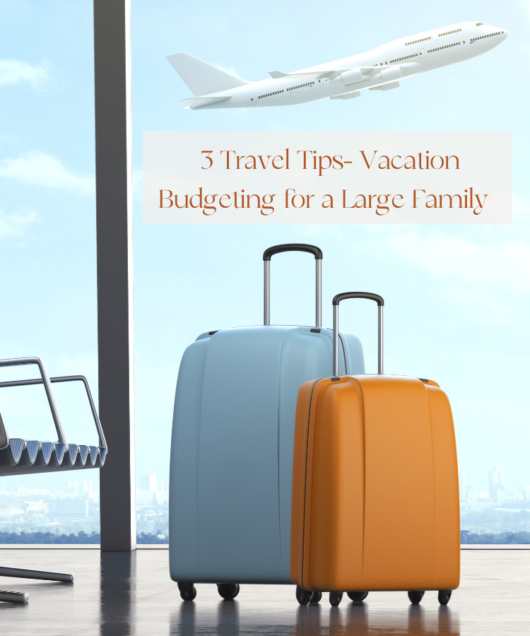 Vacation Budgeting for a large Family