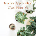 Teacher Appreciation Week Plant DIY