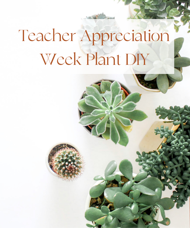 Teacher Appreciation Week Plant DIY