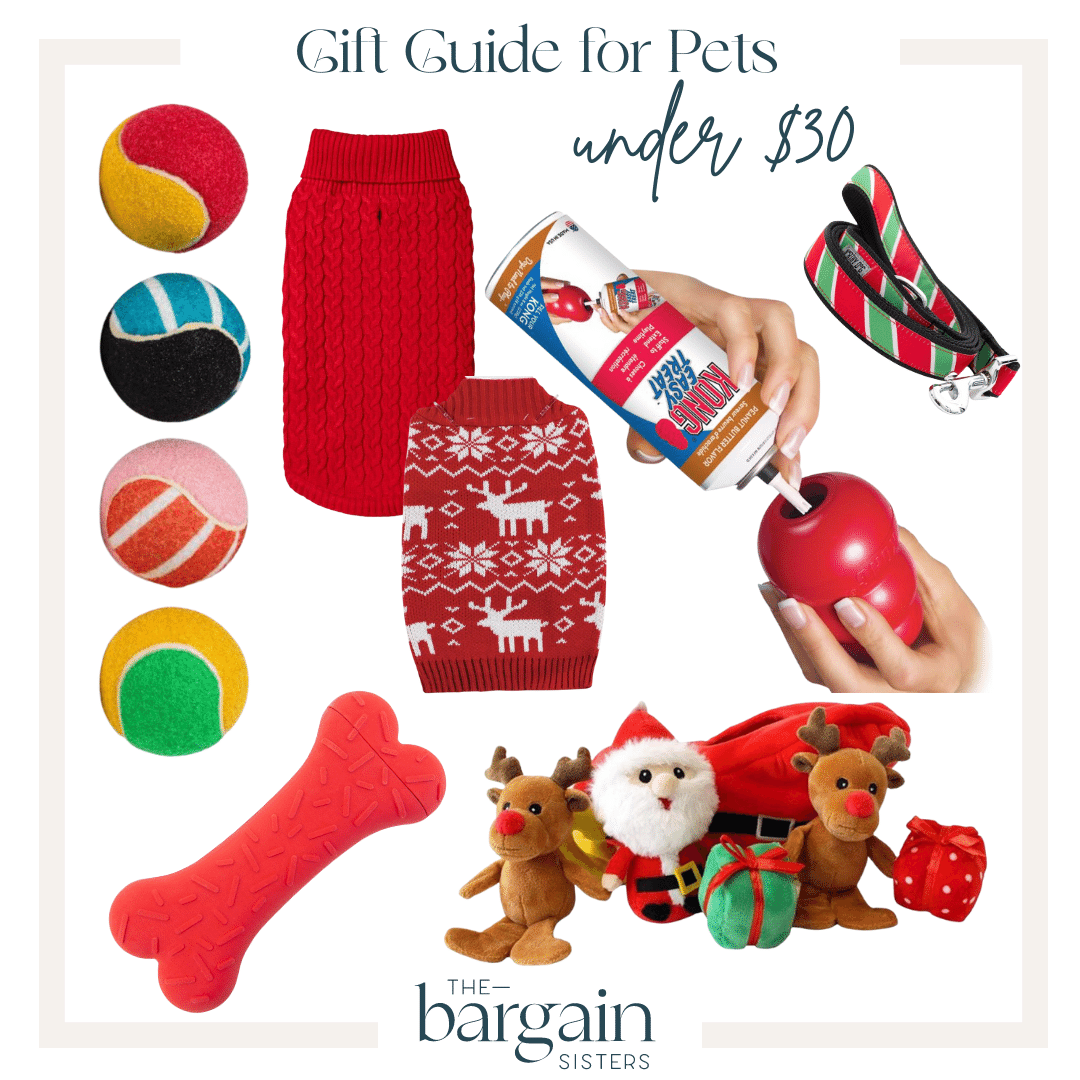 Gift Guide for Pet